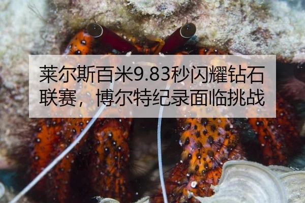 lai-er-si-bai-mi-miao-shan-yao-zuan-shi-lian-sai-bo-er-te-ji-lu-mian-lin-tiao-zhan-2-457.jpg