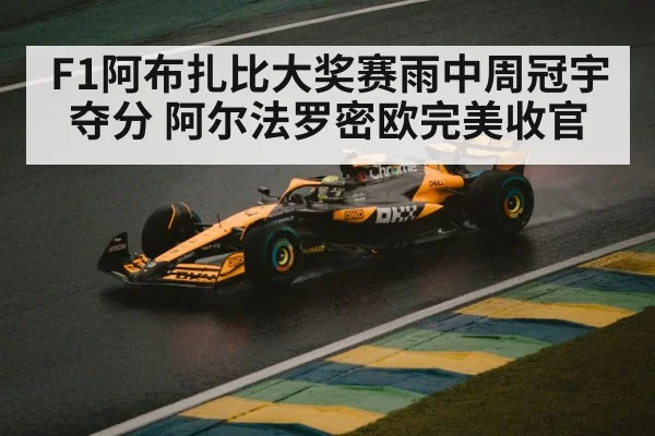 F1阿布扎比大奖赛雨中周冠宇夺分 阿尔法罗密欧完美收官